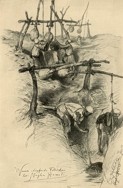 رفع مياه النيل باستخدام الشدوف ، نجع حمادي ، مصر ، 1898. بواسطة كريستيان فيلهلم أليرز