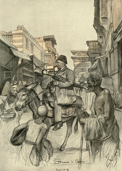 شارع بالقاهرة 1898. بواسطة كريستيان فيلهلم أليرز