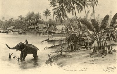 غسل فيل في النهر ، كولومبو ، سيلان ، 1898. بواسطة كريستيان فيلهلم أليرز