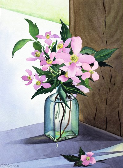Still Life Pink Clematis (ألوان مائية على ورق) بواسطة كريستوفر ريلاند