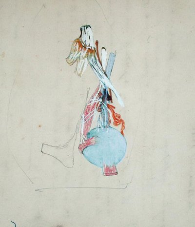 الجهاز العصبي في رأس قطة ، 25 مايو 1842 (قلم رصاص وألوان مائية على ورق) بواسطة كلود برنار