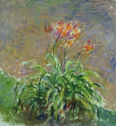 Hemerocallis ، 1914-17 بواسطة Claude Monet