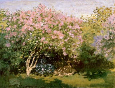 ليلك في الشمس ، 1872-1873. بواسطة Claude Monet