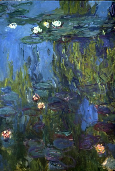 نيمفاس ، 1914-1917 بواسطة Claude Monet