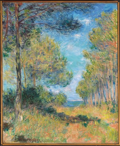 مسار شجرة الصنوبر في Varengeville ؛ Allee de sapins Varengeville ، 1882 بواسطة كلود مونيه