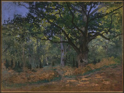 The Bodmer Oak ، غابة فونتينبلو ، 1865 بواسطة كلود مونيه