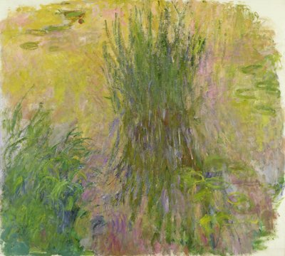 زنابق مائية (زيت على قماش) (انظر أيضا التفصيل 382330) بواسطة كلود مونيه