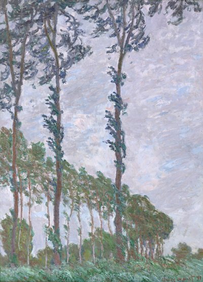 تأثير الرياح ، سلسلة Poplars ، 1891 بواسطة كلود مونيه