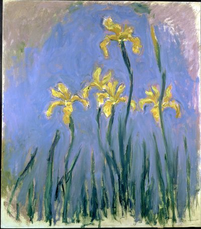 قزحية صفراء Les Iris Jaunes ، حوالي 1918-1925 (زيت على قماش) بواسطة كلود مونيه
