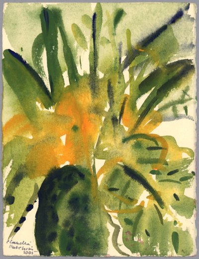 زهرة الربيع ، 2005 (ألوان مائية) بواسطة كلوديا هاتشينس بوتشافي