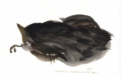 القط النائم ، 1985 (ألوان مائية) بواسطة كلوديا هاتشينس بوتشافي