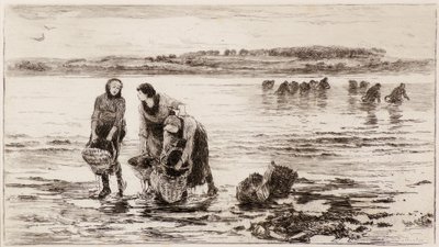 جامعي بلح البحر بواسطة كولين هنتر