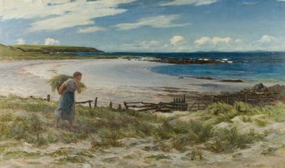 رمال وايت هيلز بواسطة كولين هنتر