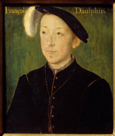 صورة لشارل فرنسا ، دوق أورليانز (1522-1545) (ربما الابن الثالث لفرانسوا الأول) لوحة خشبية لكورنيل دي ليون (كورنيل دي لاهاي) (1500 / 1510-1574) القرن السادس عشر. 0،16 × 0،13 م بايون ، متحف بونات بواسطة كورنيل دي ليون