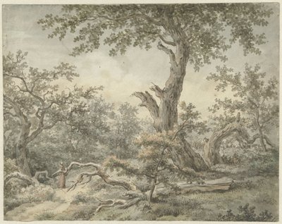 المناظر الطبيعية للغابات بواسطة Cornelis Buys