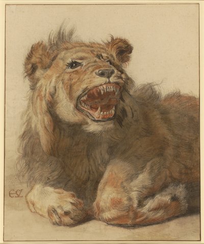 زمزم الأسد ، حوالي 1625-33 (طباشير أسود وأحمر مع ألوان سوداء وبنية) بواسطة كورنيليس سفتيلفين