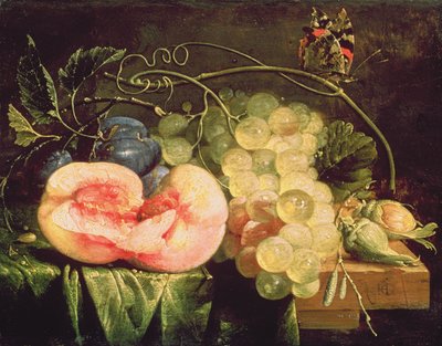لا تزال الحياة مع الفاكهة ، القرن السابع عشر بواسطة Cornelis de Heem