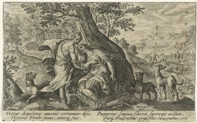 Apollo en Hyacinthus ميتامورفوسين فان أوفيديوس (عنوان المسلسل) بواسطة كريسبين فان دي باس (الأول)