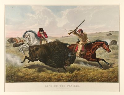 الحياة في البراري: The Buffalo Hunt بواسطة كوريير وآيفز