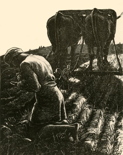 الكنز المخفي ، 1864 ، 1928. بواسطة Dalziel إخوان