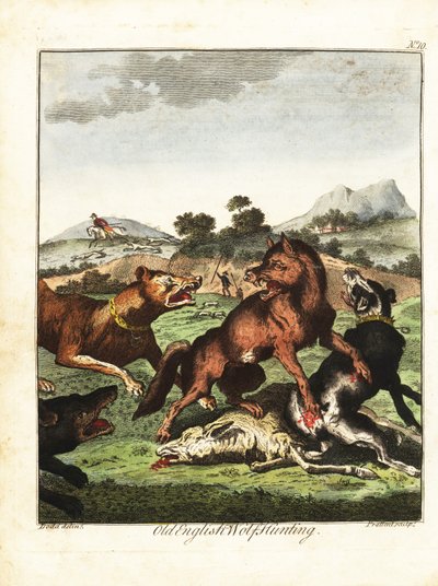 صيد الذئب الإنجليزي القديم. 1792 (نقش) بواسطة دانيال (بعد) دود