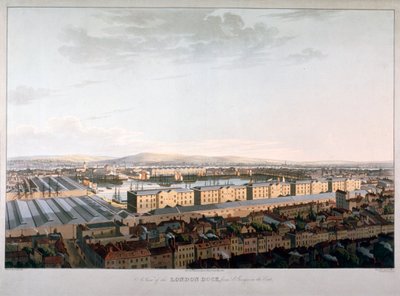 منظر من لندن دوكس ، 1816 بواسطة دانيال هافيل