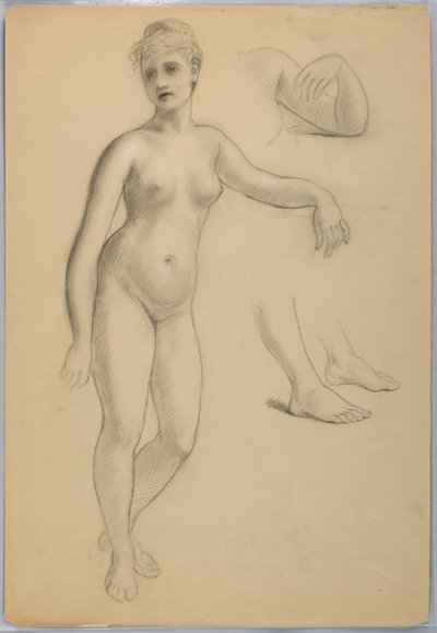 رسم، أنثى عارية واقفة، سبتمبر 1860-70 بواسطة دانييل هنتنغتون
