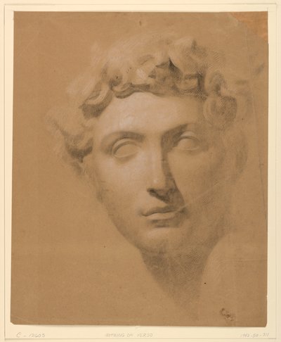 رسم، رأس ذكر من الجص، 1840 بواسطة دانييل هنتنغتون