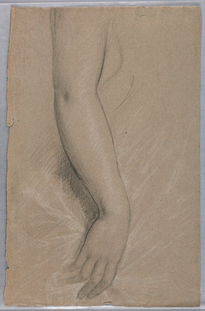 رسم، السيدة رذرفورد بي هايز، 1880 بواسطة دانييل هنتنغتون