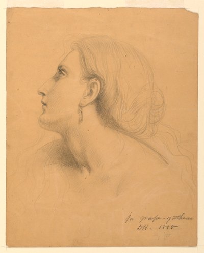 رسم، دراسة عن "جامعي العنب"، يوليو 1855 بواسطة دانييل هنتنغتون