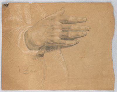 رسم، دراسة لمارثا ريبروف، فبراير 1855 بواسطة دانييل هنتنغتون