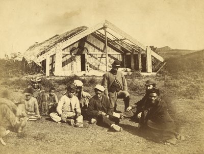 Kowitis Rununga House، Waioneo، Bay of Islands، c.1870 (مطبوعة زخرفية) بواسطة دانيال لويس موندي