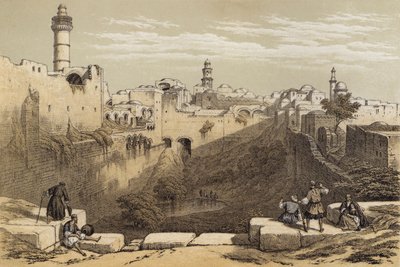 بركة بيثيسدا (لون ليثو) بواسطة ديفيد (بعد) روبرتس