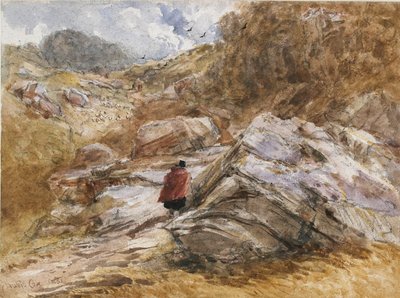 ممر الجبل في Bettws-y-Coed ، 1851 بواسطة ديفيد كوكس الأكبر