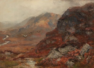 تلال المرتفعات (زيت على قماش) بواسطة ديفيد فاركوهارسون