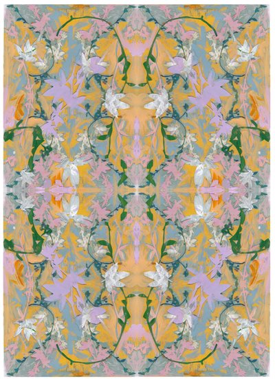 Botanical Collage # 4, 2017 بواسطة ديفيد ماكونوتشي