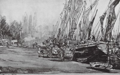  بواسطة ديفيد مويرهيد (بعد) العظام