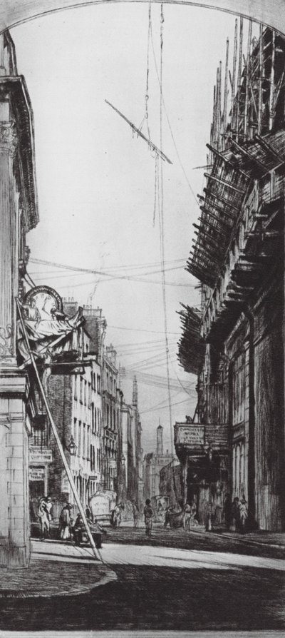  بواسطة ديفيد مويرهيد (بعد) العظام