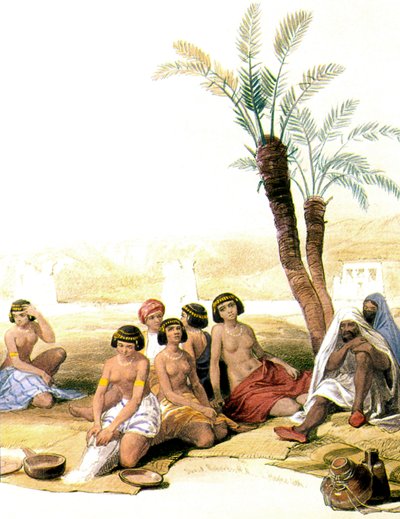 العبيد النوبيون على ضفاف النيل في 1846-1850 (رسم توضيحي) بواسطة ديفيد روبرتس