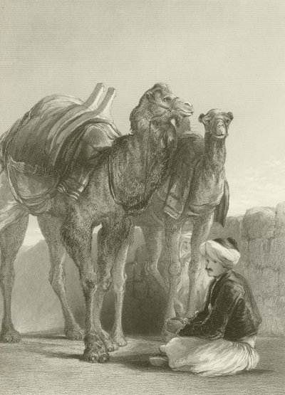 مجموعة من الجمال في سميرنا بواسطة ديفيد ويلكي
