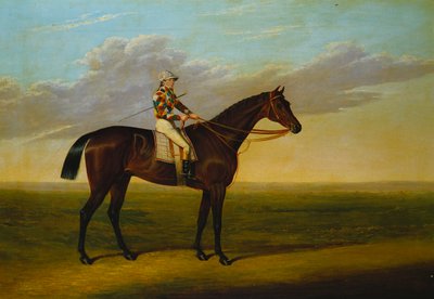 السيد ريتشارد وات باي رايسهورس "روكينجهام" مع سام دارلينج ، في مضمار السباق بواسطة David of York Dalby