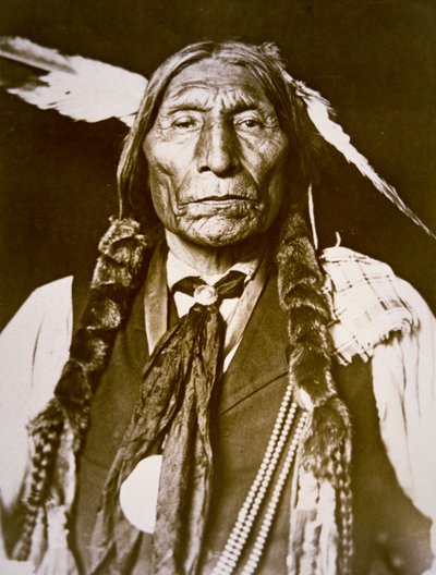 وولف روب (ب 1841) 1909 (صورة ب / ث) بواسطة ديلانسي دبليو جيل