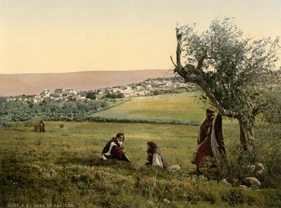  بواسطة شركة ديترويت للنشر
