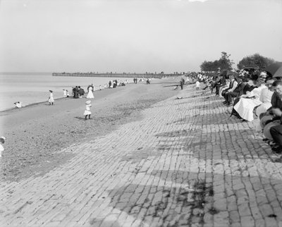 أمام المبنى الألماني ، جاكسون بارك ، شيكاغو ، c.1900 بواسطة شركة ديترويت للنشر