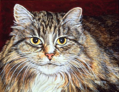 ستروجي سكينر بواسطة ديتز ديتز