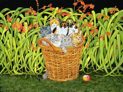 مونبريتيا ماوس بواسطة ديتز ديتز