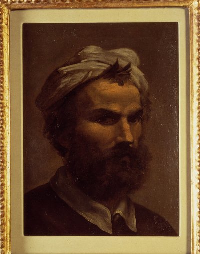 صورة غير معروفة بواسطة دومينيكو بيكافومي