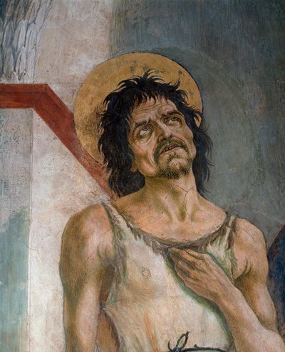 St John the Baptist and St Francis of Assisi : Detail of St John the Baptist - Fresco بواسطة دومينيكو فينيزيانو