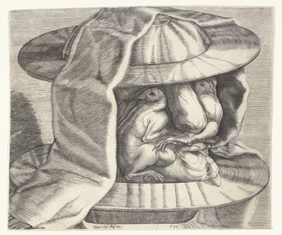 رأس بشع مع خوذة على طراز Arcimboldo رأس بشع مع خوذة على طراز Arcimboldo بواسطة Dominicus Custos (منسوب إلى)