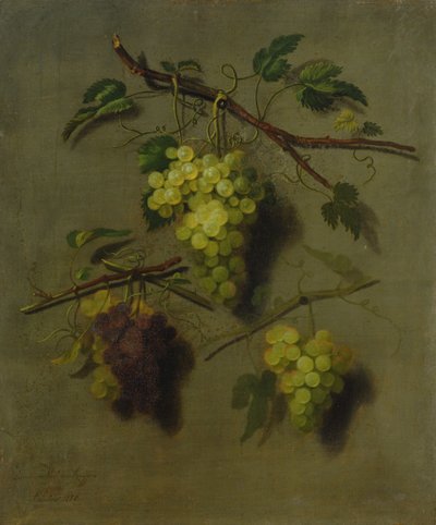 الحياة الساكنة ، 1738 بواسطة Dominicus Van der Smissen
